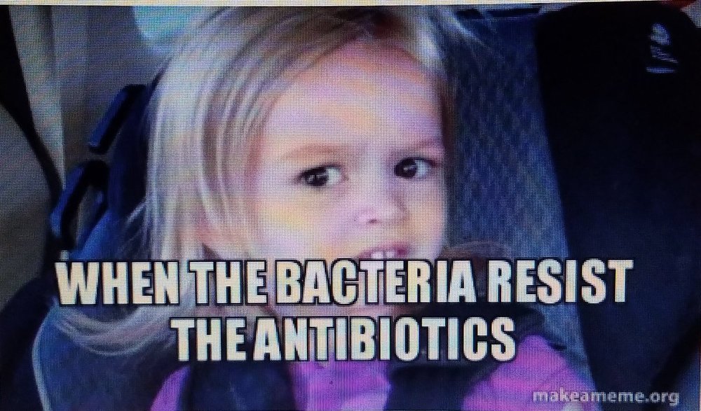 Image result for antibiotic resistance memes