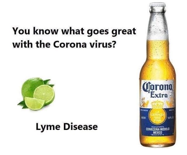 Image result for coronavirus meme